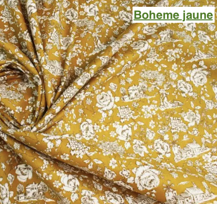 L'aiguille de Sha - Wholesale Book Cover - Family book cover19