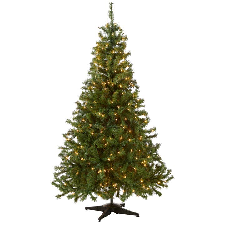 6 ft. Pre-Lit Kincaid Spruce Tree with Clear Lights, Plug-In for wholesale by National Tree Company