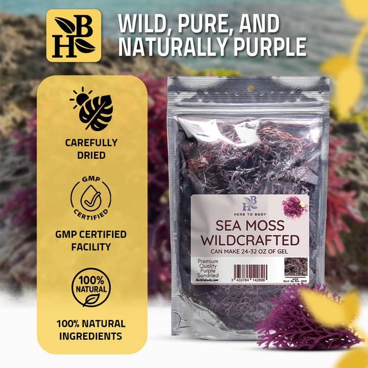 Herb To Body - Wholesale Herbs - Wildcrafted Purple Sea Moss from Caribbean - Food & Topical3