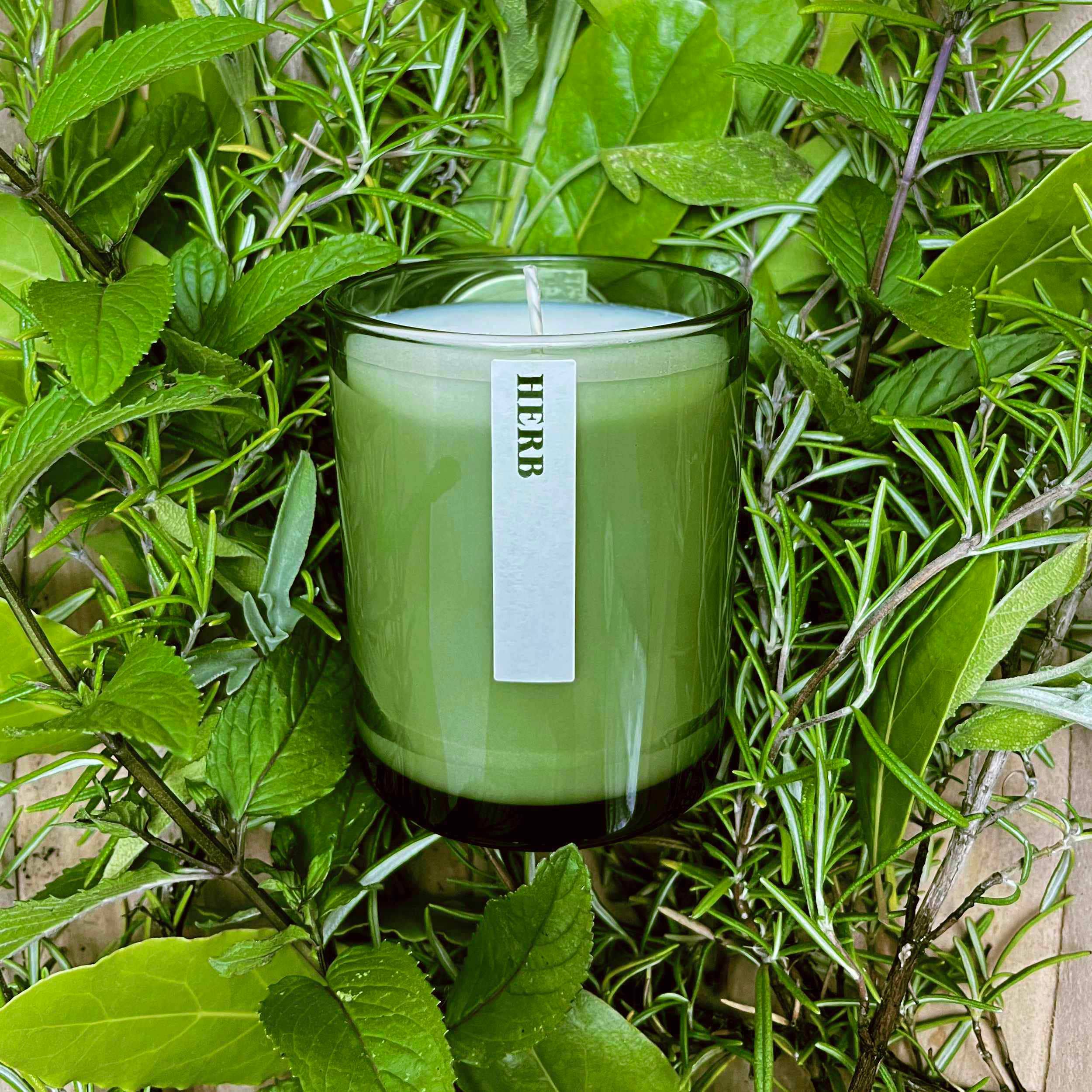 Heaven Scent Incense Ltd – wholesale Jar/filled candle – NEW! Green Botanical 20cl Candle 7