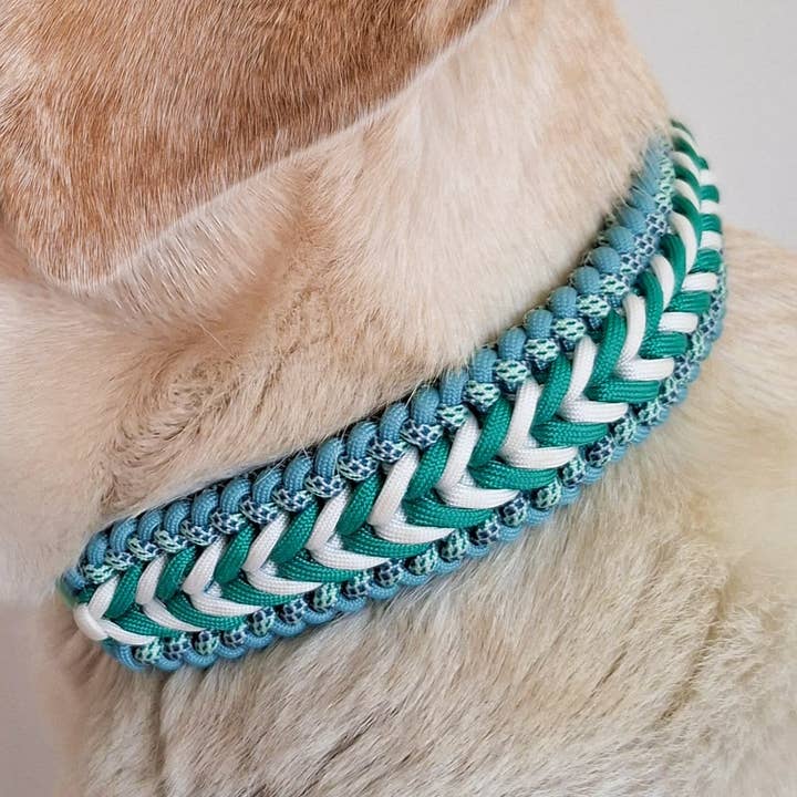 Braided dog collar - Biothane/Paracord - Turquoise for wholesale by Truffe & Flair