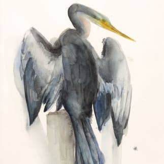 Anhinga ~ "Good Fortune" ~ "Oh, to Fly" ~ Giclée Print for wholesale by Holly Wach Art LLC