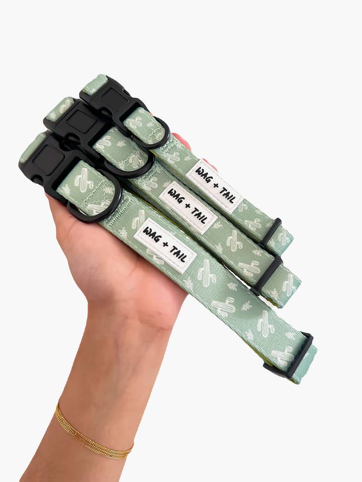 Dog Collar - Prickly Paws for wholesale by Wag + Tail