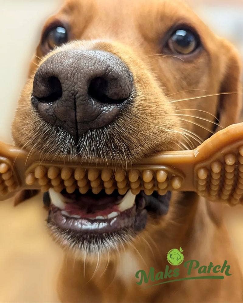 Miro & Makauri – wholesale Pet treats – Dog – Peanut Butter & Banana Dental Bone.2