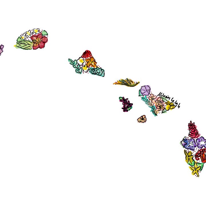 Stampa Mappa dello Stato Floreale - Hawaii per la vendita all'ingrosso da parte di Allison’s Illustrations