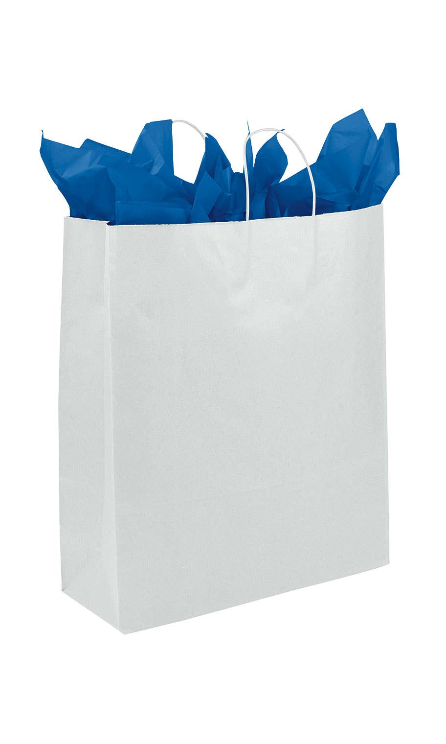 Store Supply Warehouse - Wholesale Gift Bag - Kraft Paper Shopping Bags4