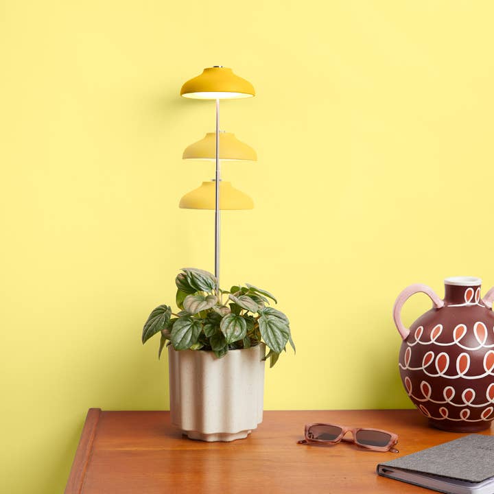 We the Wild Plant Care - Australia - Wholesale Light bulb/puck - Instant Sun Grow Lamp - Case of 62