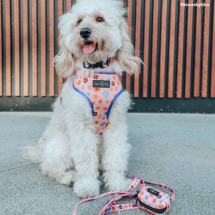 Let's Groove Poop Bag Holder for wholesale by Lucy & Co.