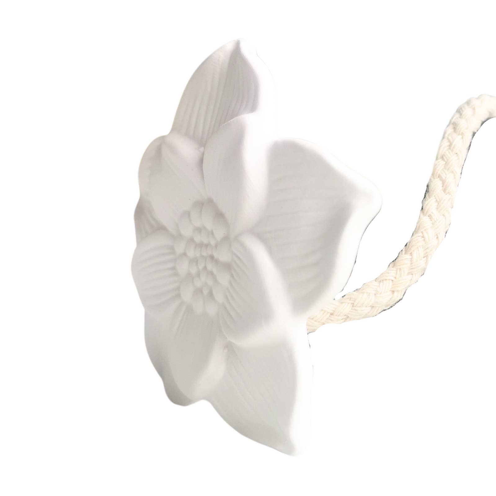Zen'Arôme – difusor de fragrâncias por atacado – Flor de reposição para difusor capilar Narcisse2
