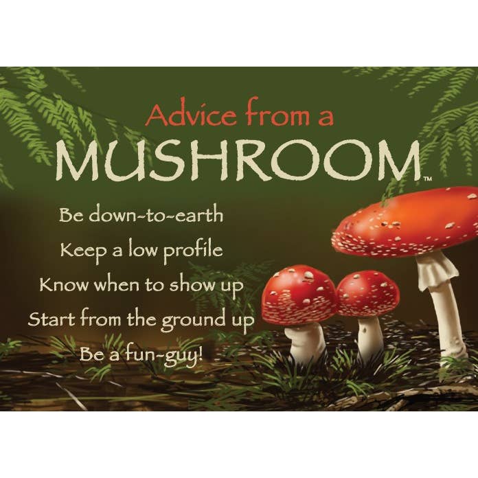 Advice from a Mushroom Jumbo Magnet for wholesale by Advice for Life by Your True Nature
