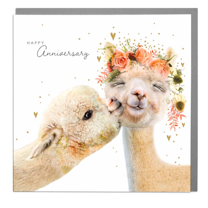 Happy Anniversary Two Alpacas greeting card for wholesale by Lola Design Ltd