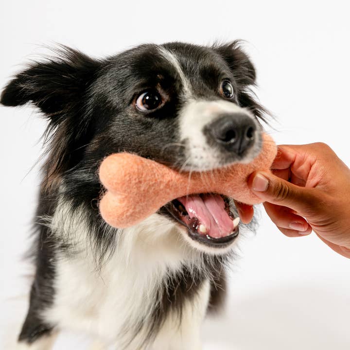 Awoo – wholesale Pet toy – Dog – Bone Felt Wool Toy - Casepack2