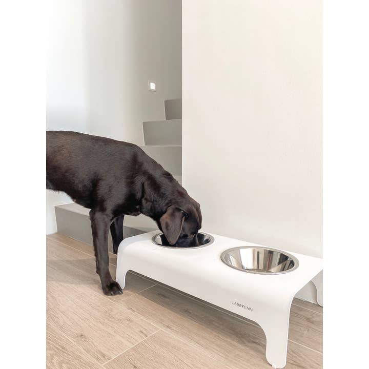 Labbvenn - Wholesale Pet Bowl - Cat/Dog - Rico Ffeder35