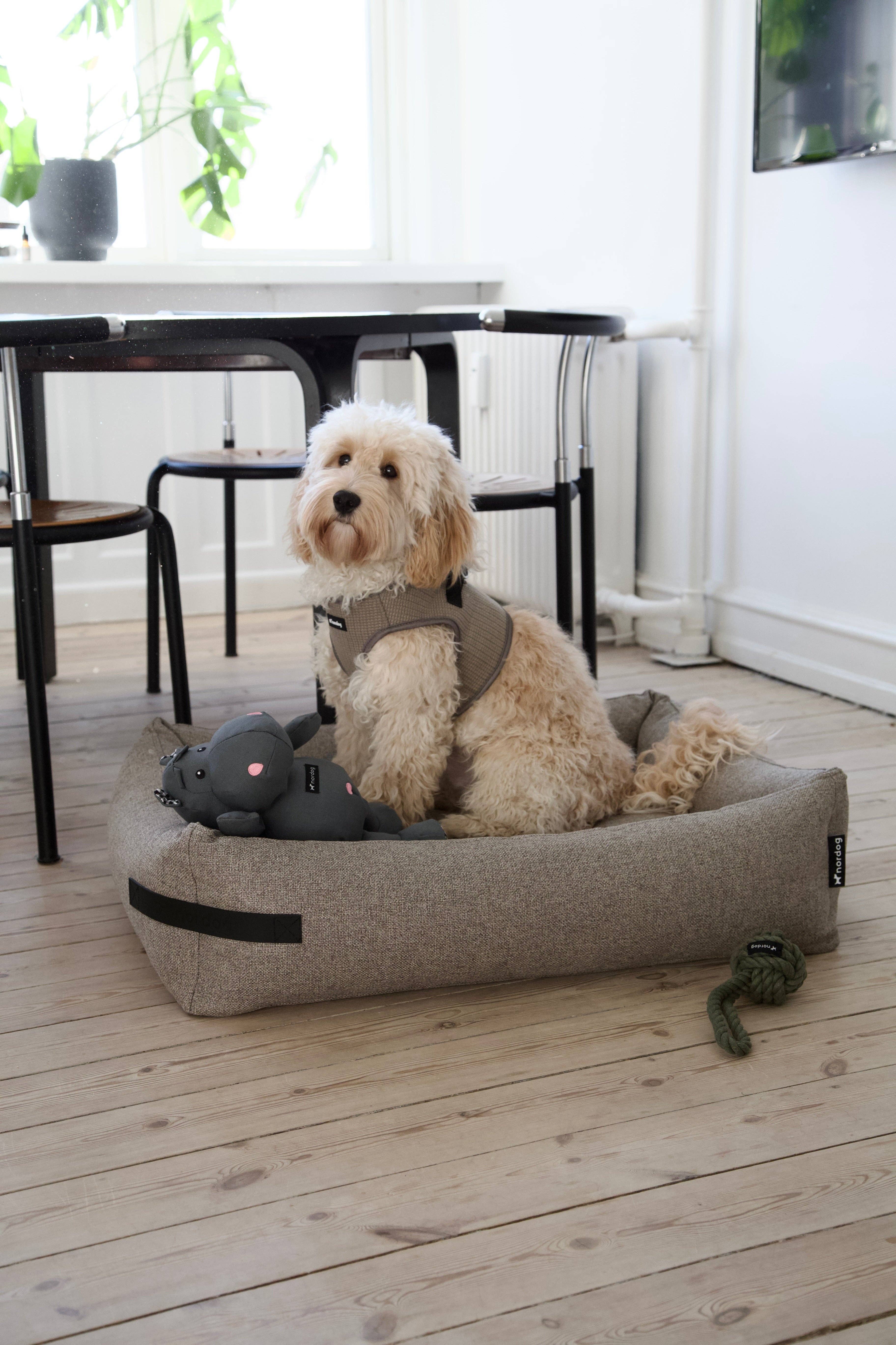 Hygge Dog Bed Cappuccino for wholesale on Faire4