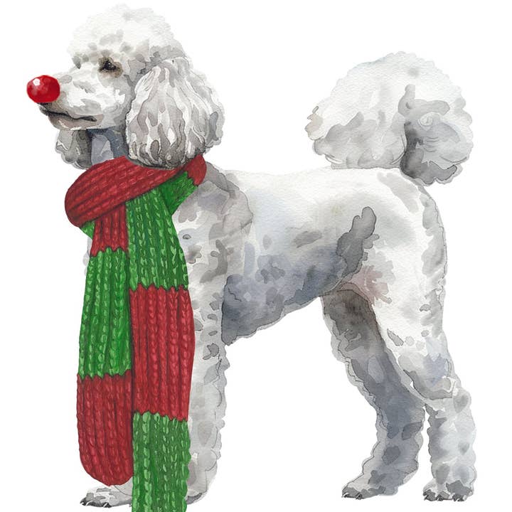 Bourbon & Bacon – wholesale Christmas card – 12 Dogs of Christmas9