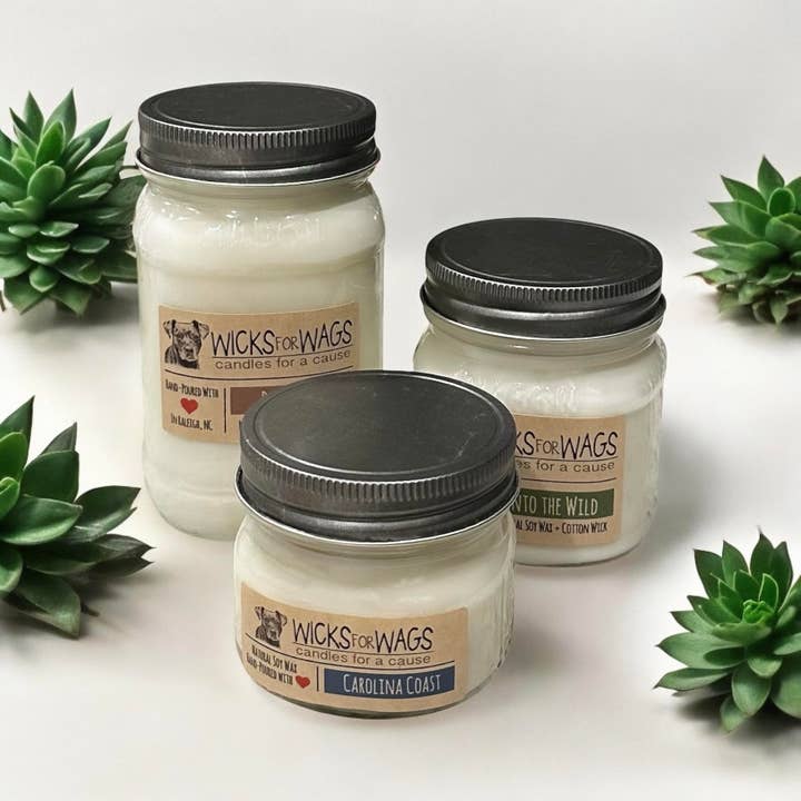 Wicks for Wags Candles - Wholesale Jar/Filled Candle - Desert Oasis |Â 14 oz Candle | Mason Jar Soy Candle