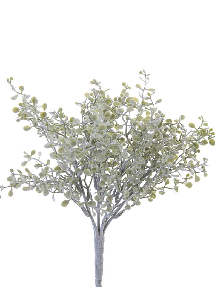 Buisson de feuilles à boutons de 11" pour bébé pour la vente par American Best