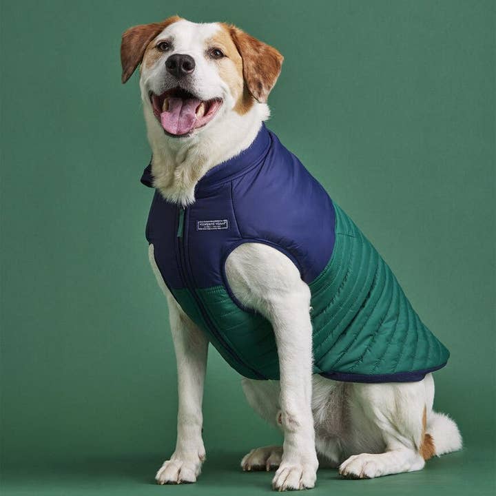Found My Animal - Wholesale Pet Jacket - Dog - Vineyard Vines X Fma Pet Puffer Jacket, Turf Green