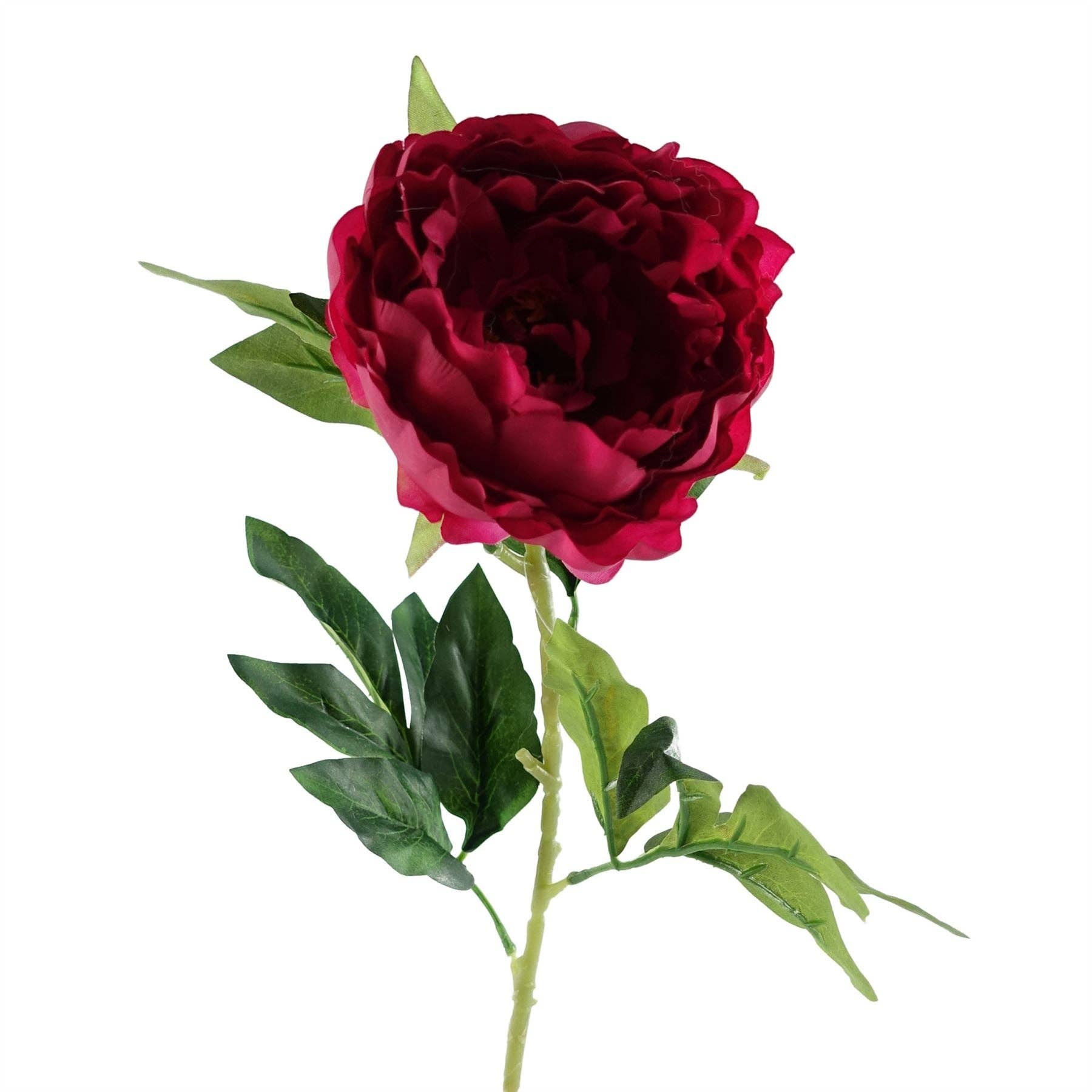 Leaf Design UK LTD - Vendita all'ingrosso Fiori finti - Confezione da 6 x Fiori Artificiali Stelo di Peonia Rosa Scuro 80cm4
