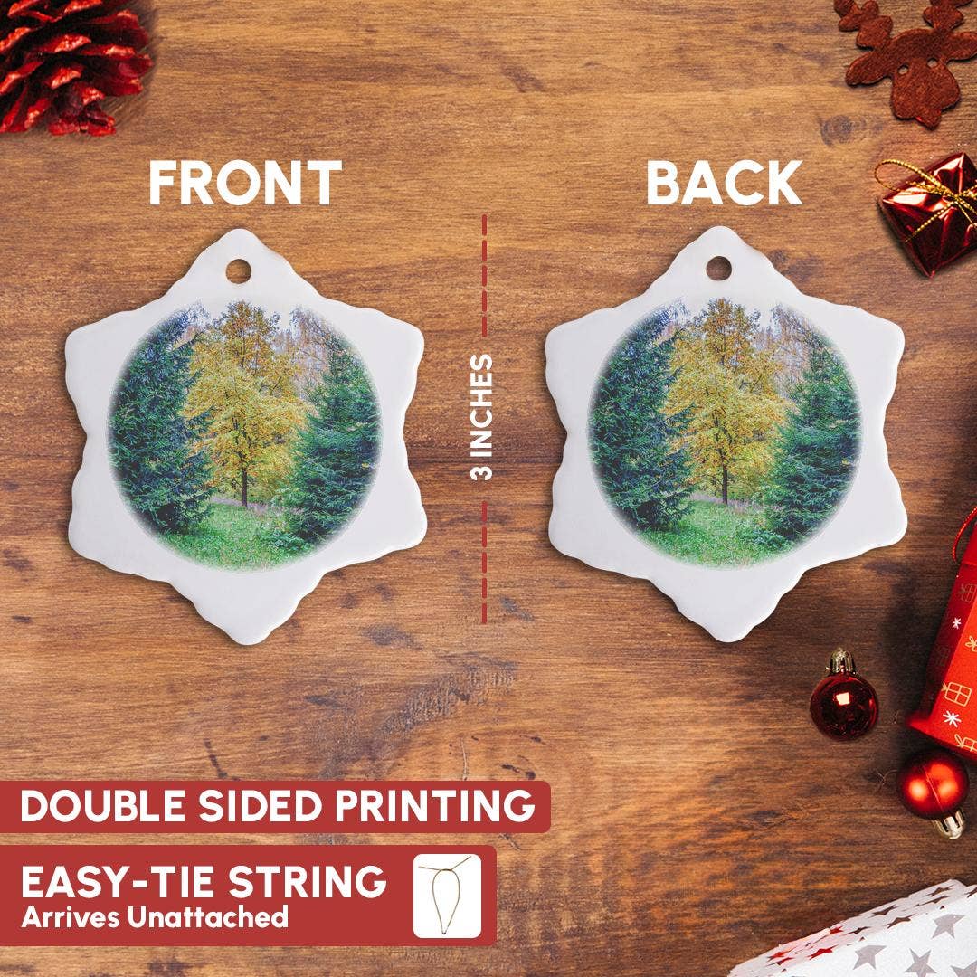 3dRose - Wholesale Ornament - 3dRose, Young oak tree between two fir trees on a wet autumn day, Ornament2