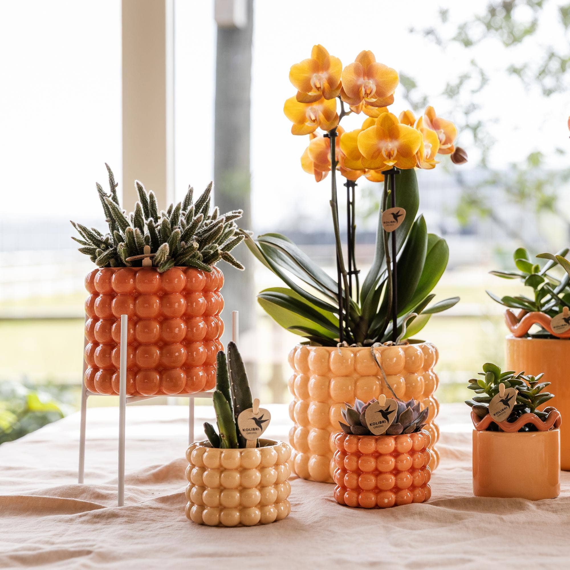 Oasis of Life - Wholesale Plant Pot Stand - White Metal Plant Stand Ø12cm – Modern Metal Flower Pot Stand – Decorative Plant Holder for Indoor Plants – Stable, Stylish & Versatile – Height 18.5cm1