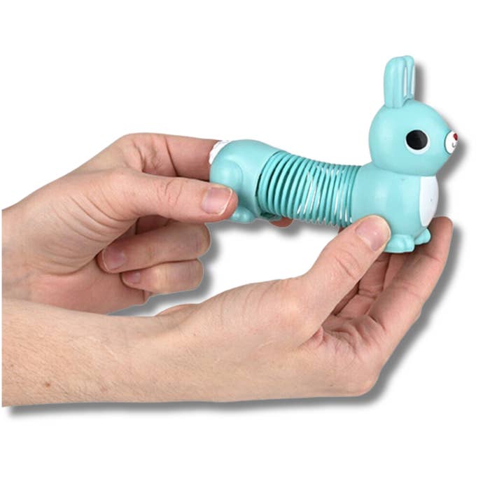 JSBlueRidge Toys - Wholesale Fidget Toy - Kids - Bunny Fidget Spring Kids Toy- Assorted1