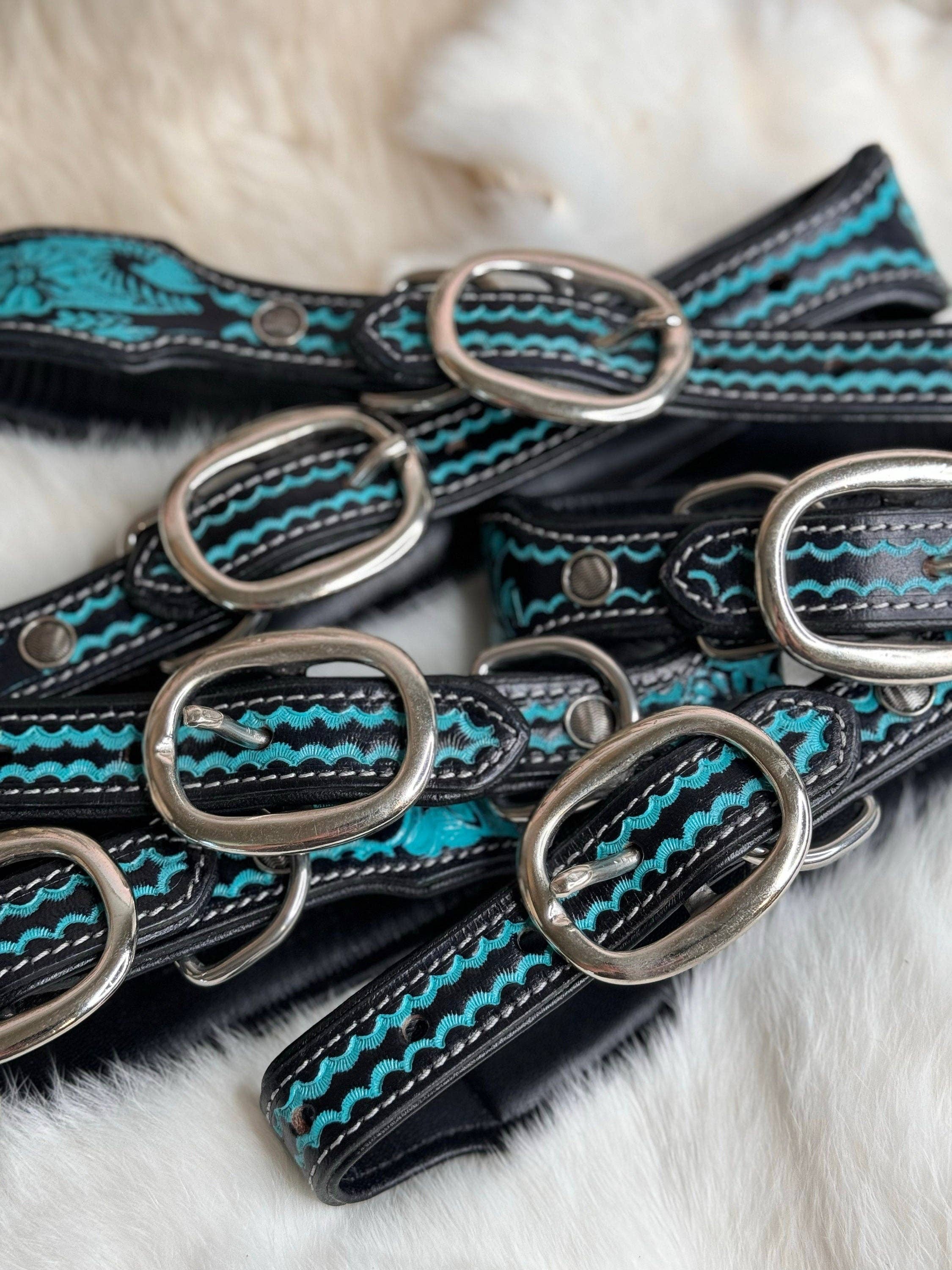 The Sterling Gypsy - Wholesale Pet Collar - Dog - Turquoise Tooled Leather Western style Dog Collar, Show Dog, Farm Dog, Cow Dog, Cattle Dog2