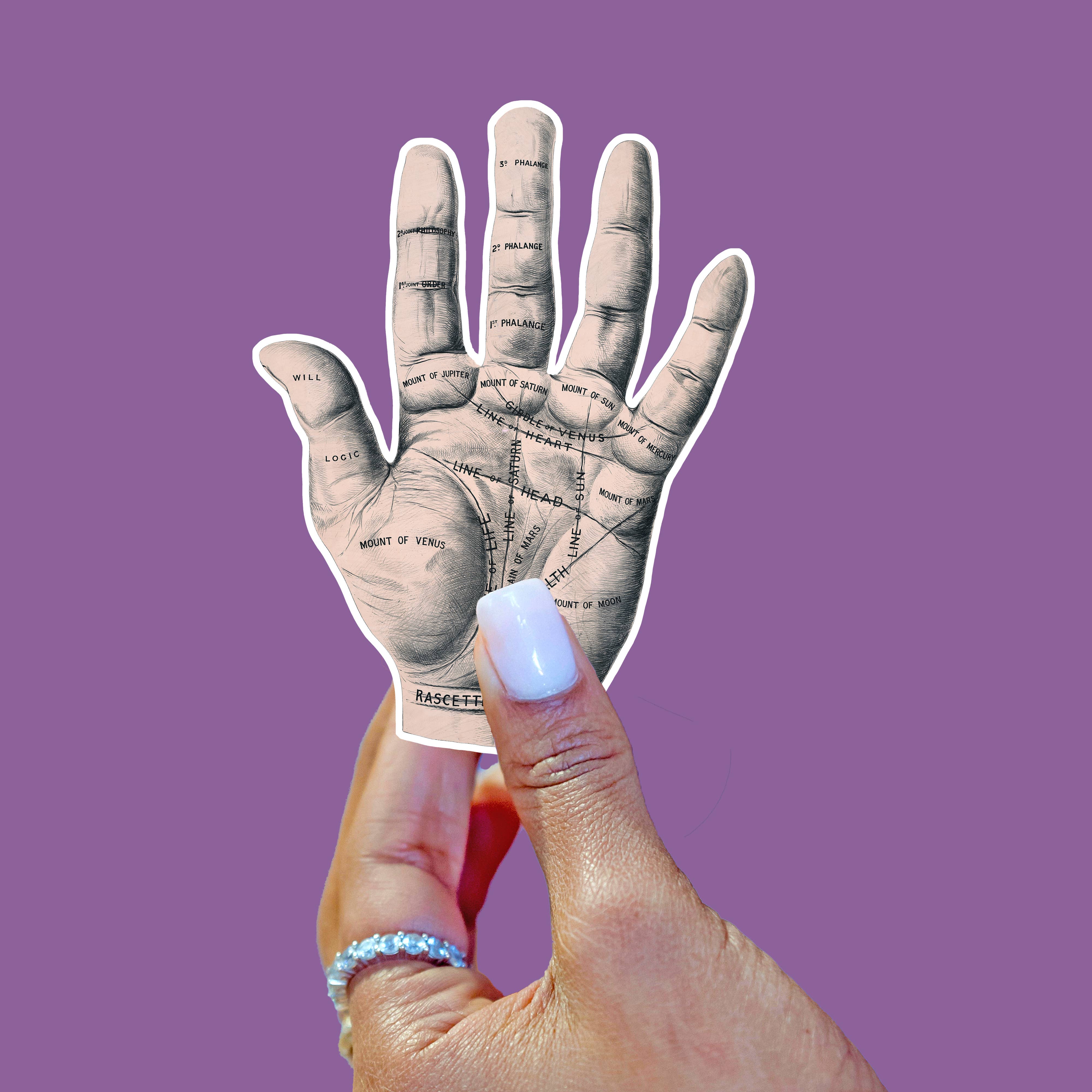 Moonbeam Mercantile - Wholesale Sticker - Vintage-Style Palmistry Palm Reading Sticker