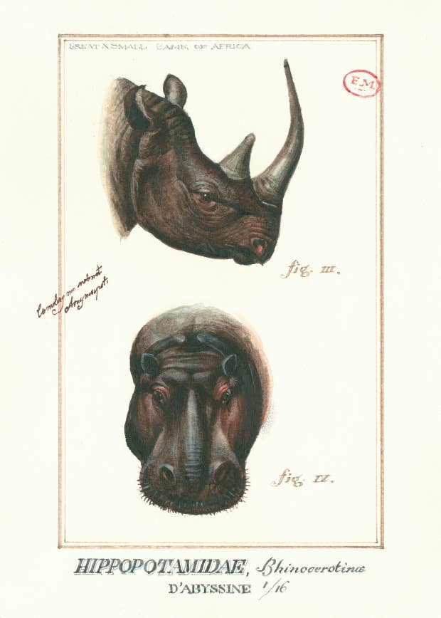 Bomo Art Budapest - Wholesale Everyday Greeting Card - Greeting Card + Envelope3