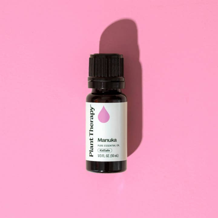 Plant Therapy - Venta al por mayor Aceite esencial - Aceite esencial de manuka 10 ml