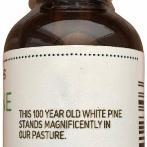 Four Elements Organic Herbals - Wholesale Tincture - White Pine Tincture - 1 oz2