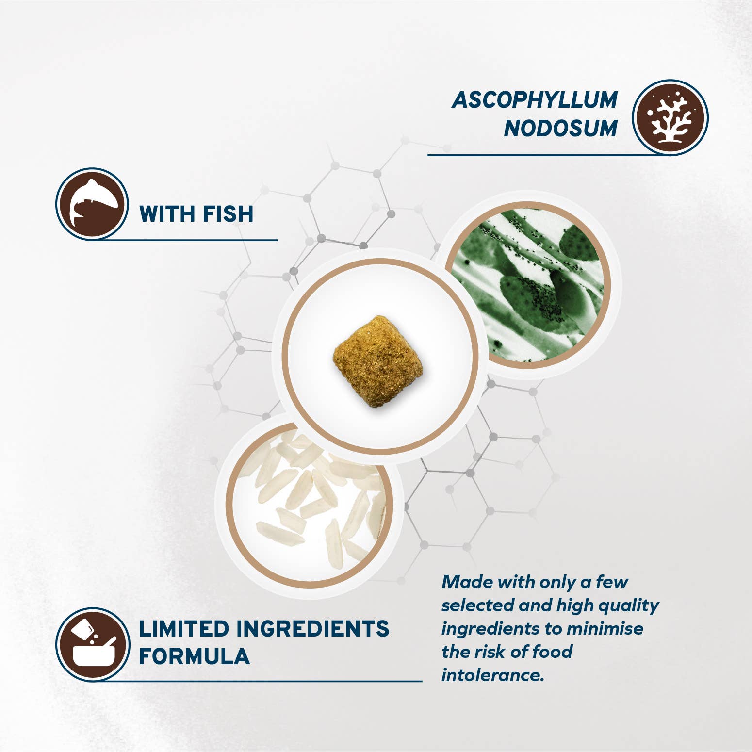 Forza10 Pet Food - Wholesale Pet Food - Dog - Forza10 Nutraceutic Active Colon Diet Phase 1 Dry Dog4