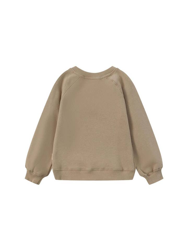 Norsu Organic - Wholesale Sweatshirt - Kids - Toddler Organic Fleece Sweatshirt-Winter Twig5