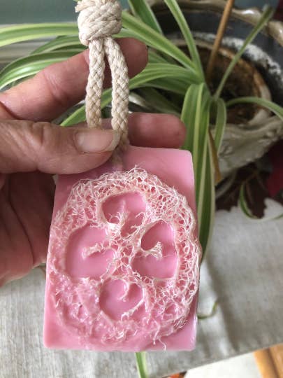 Loofah Goats Milk Soaps/Exfoliate Soaps for wholesale by Honeybee Essential's