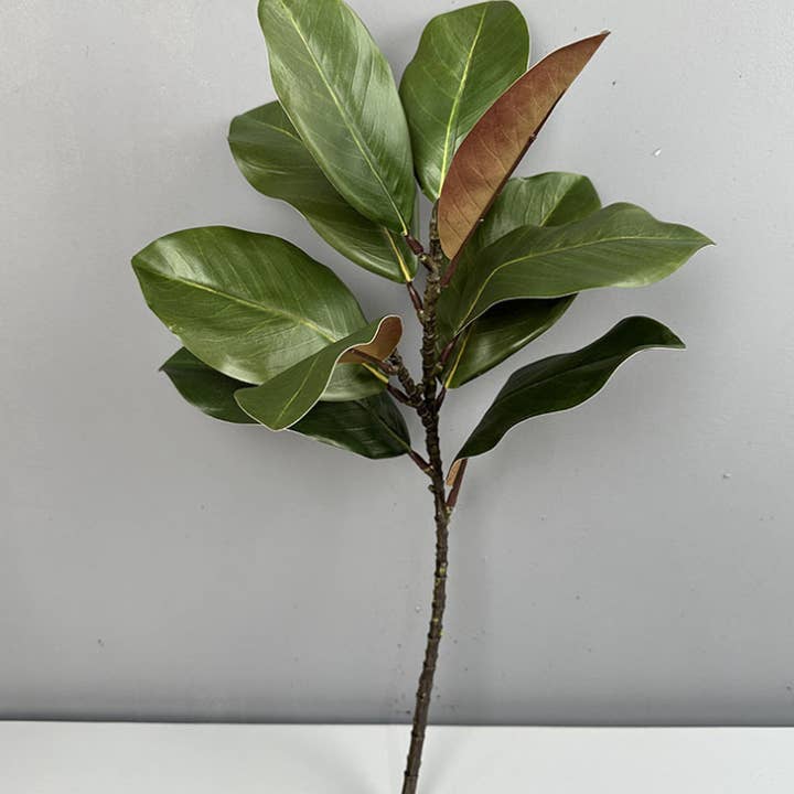 Sweet Home Deco - Wholesale Artificial flowers - 22''T Nature Touch Faux Magnolia Leaf Branch, Indoor/Ourdoor8
