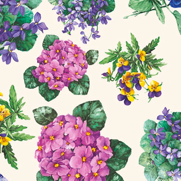 Violette - 70 x 100 cm para venta al por mayor de Grafiche Tassotti