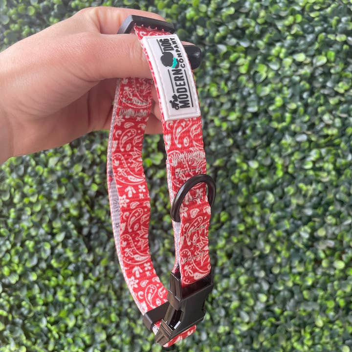 Bad to the Bone Bandana Collar for wholesale by The Modern Dog Company