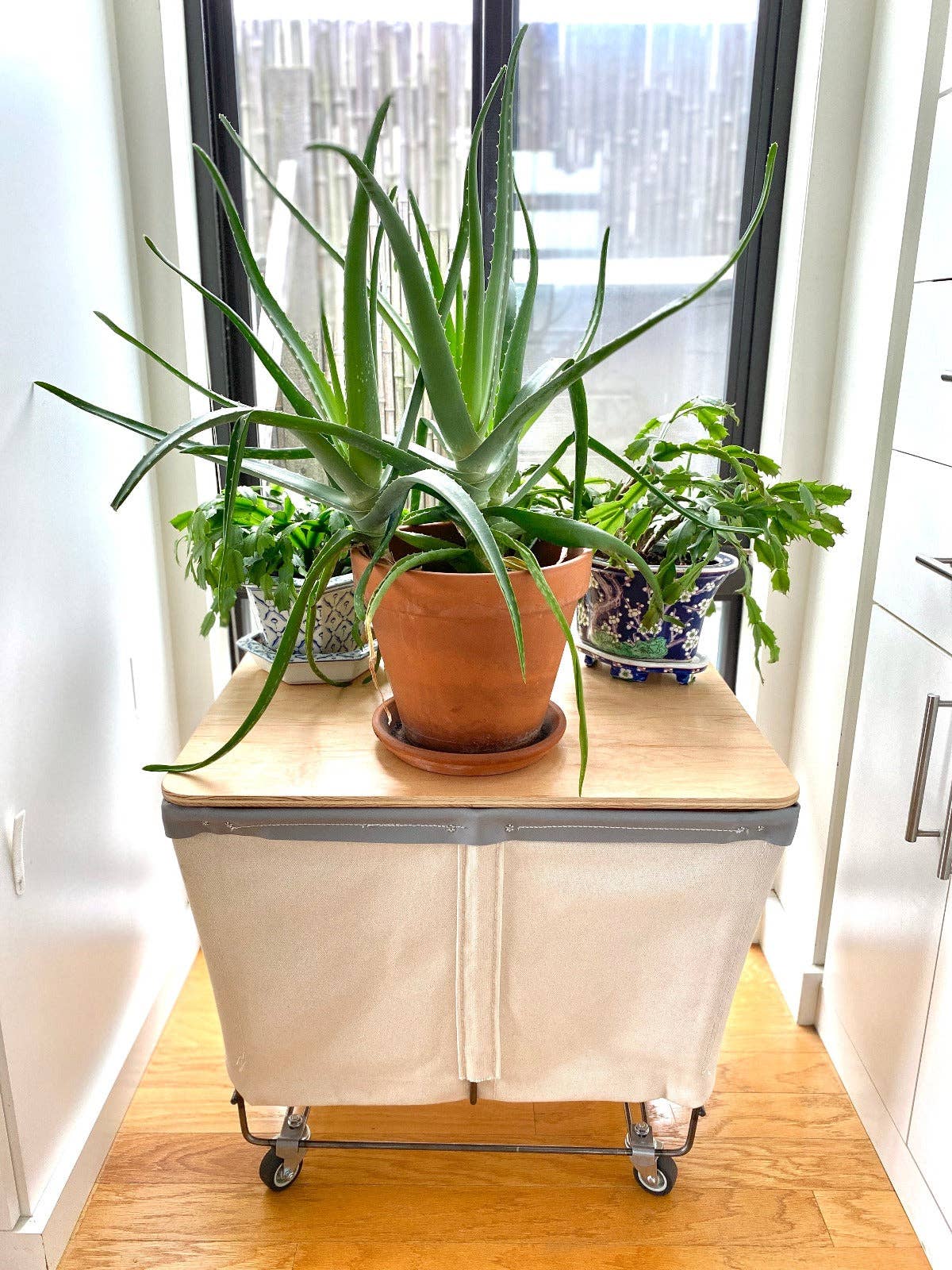 Steele Canvas Basket Corp. - Venta al por mayor Cesta/caja de almacenamiento - Tapa rectangular de madera - 3 Bu.2