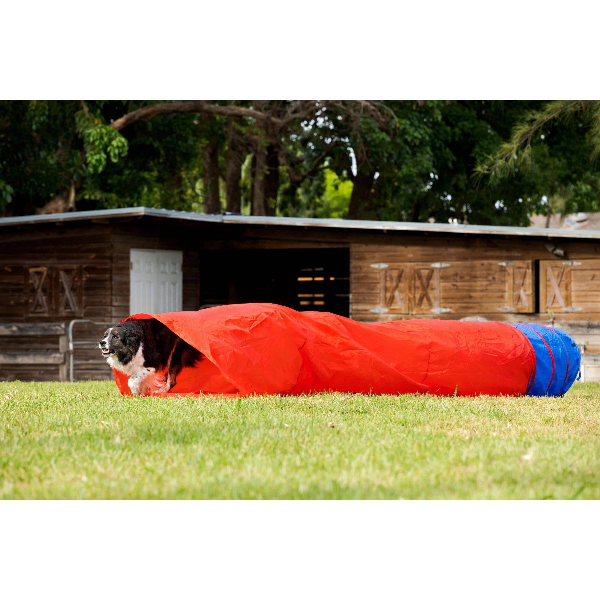 Midlee Designs - Wholesale Pet Toy - Dog - Midlee Dog Agility Chute Tunnel Training Equipment8