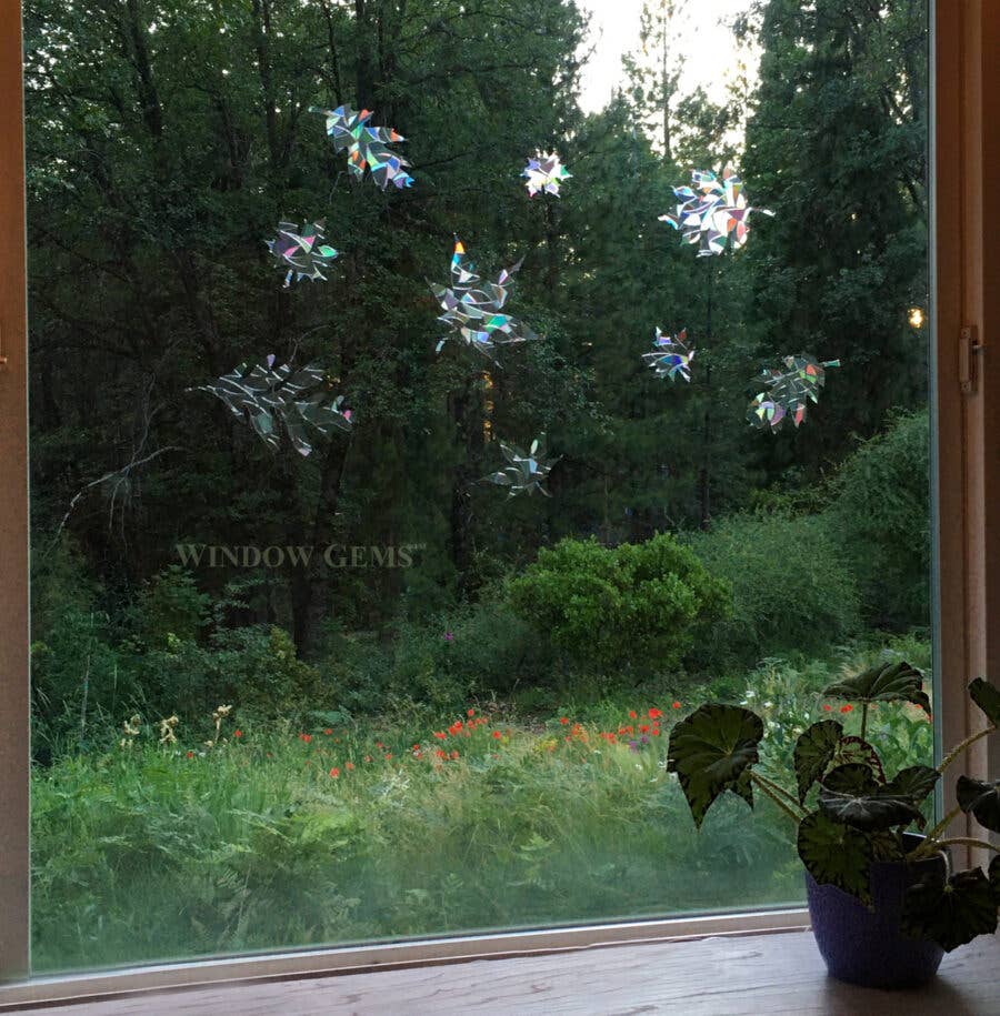 Window Gems - Wholesale Zonnevanger - Gemengde Bladeren Raamstickers - Prismatische Kleefstickers, Red Vogels3