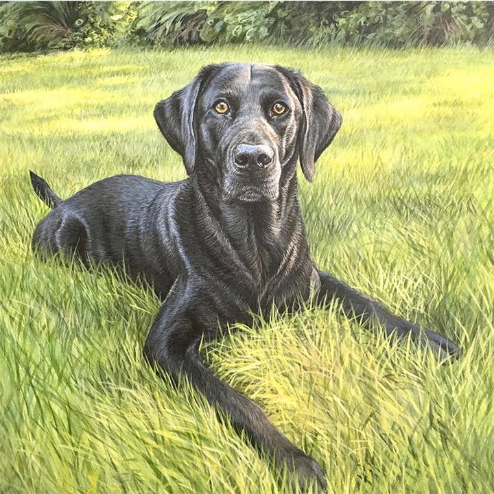 Carte de vœux Ciel pour la vente par Natural Partners Limited