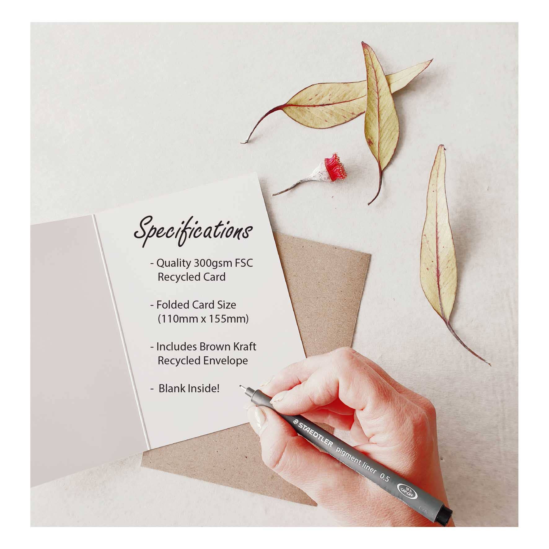 Bosa Art Co - Wholesale Everyday greeting card - Greeting Card - Tigers Sleeping1