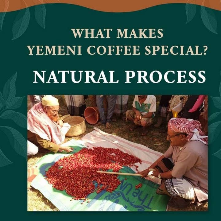 The Studio Coffee. - Venta al por mayor Café en grano - Mokha Harazi de Yemen (natural) - 250 g