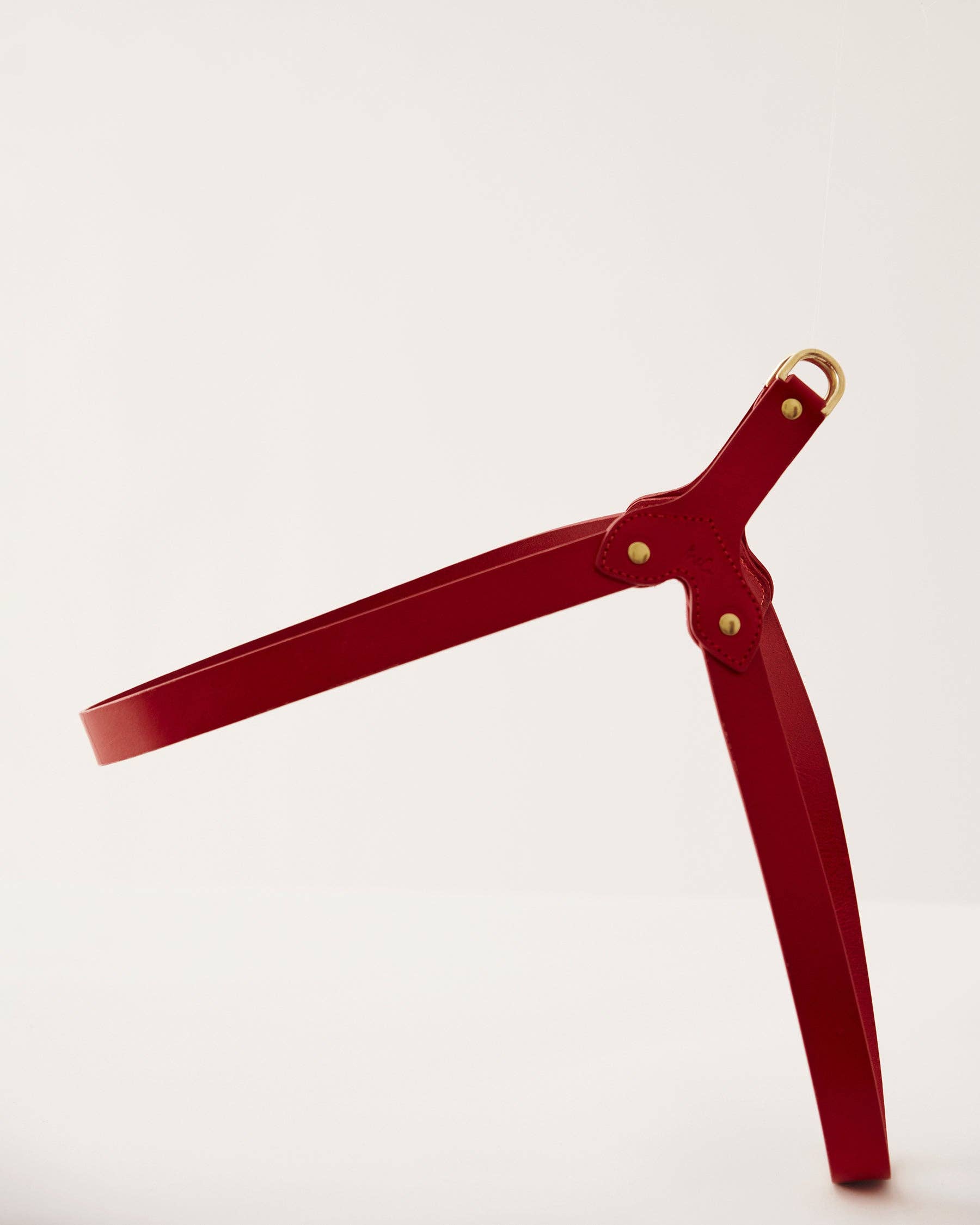 Muso & Co – Großhandel Haustiergeschirr – Hund – Klassisches Geschirr aus pflanzlich gegerbtem Leder45