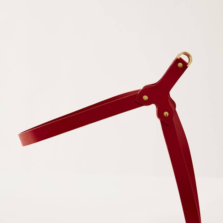 Muso & Co – Großhandel Haustiergeschirr – Hund – Klassisches Geschirr aus pflanzlich gegerbtem Leder45