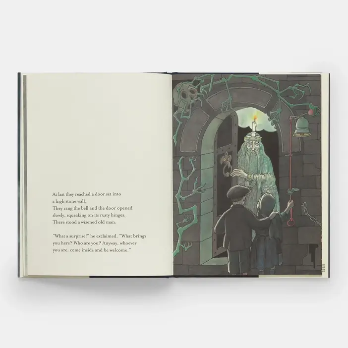 Phaidon - Wholesale Early Reader Book (6-8) - Fog Island6