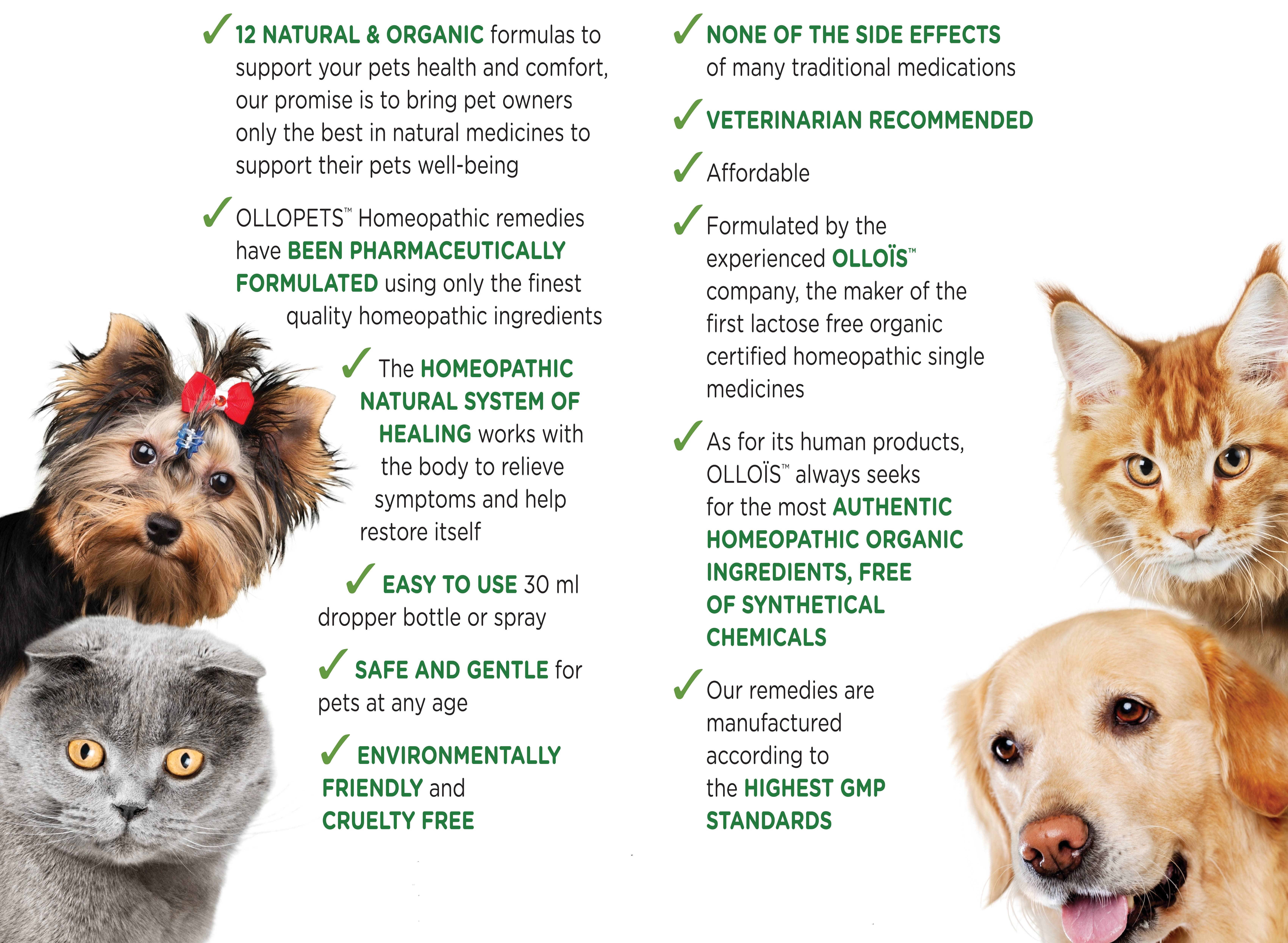 Ollois - Wholesale Pet Supplement - Cat/Dog - Ollopets Joints & Muscles, Homeopathic Remedy for Pets, 30ml7