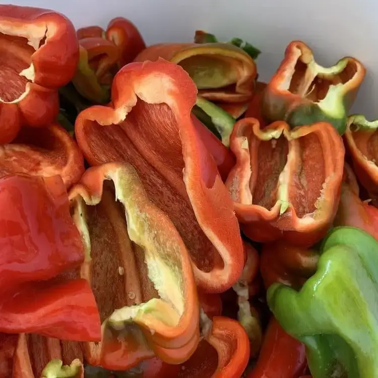 Bio Orto Società Cooperativa Agricola - Wholesale Pasta Sauce - Organic Ortolana Sauce 185gr1