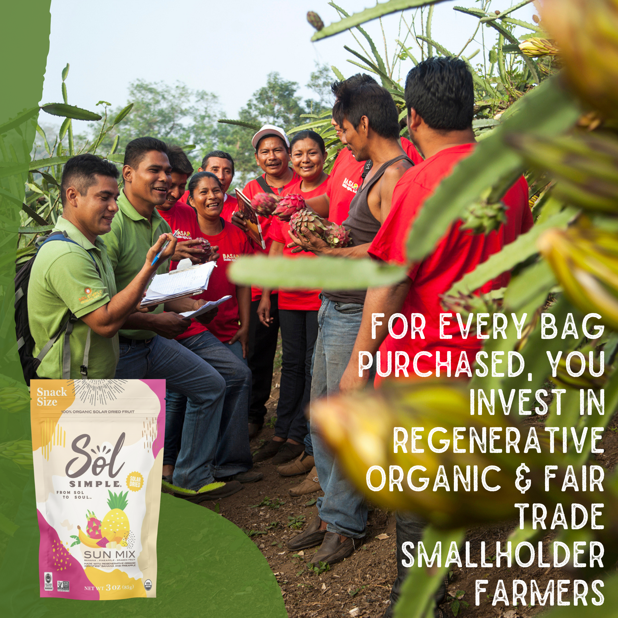 Sol Simple - Wholesale Dried/Dehydrated Fruit - Dried Sun Mix: Organic Banana, Pineapple, and Dragon Fruit3