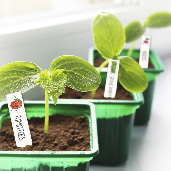 Graine Créative - Wholesale DIY Craft Kit - Kids - CRAZY PLASTIC KIT VEGETABLE GARDEN LABEL2